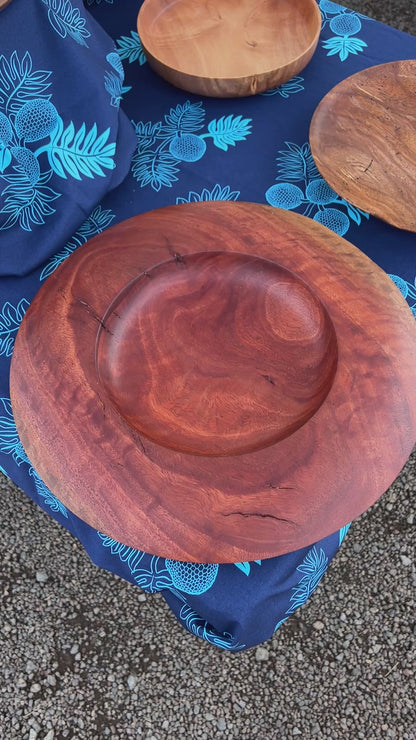 Eucalyptus flying saucer player